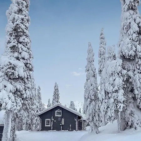Lumi Casa By Interhome * Ruka