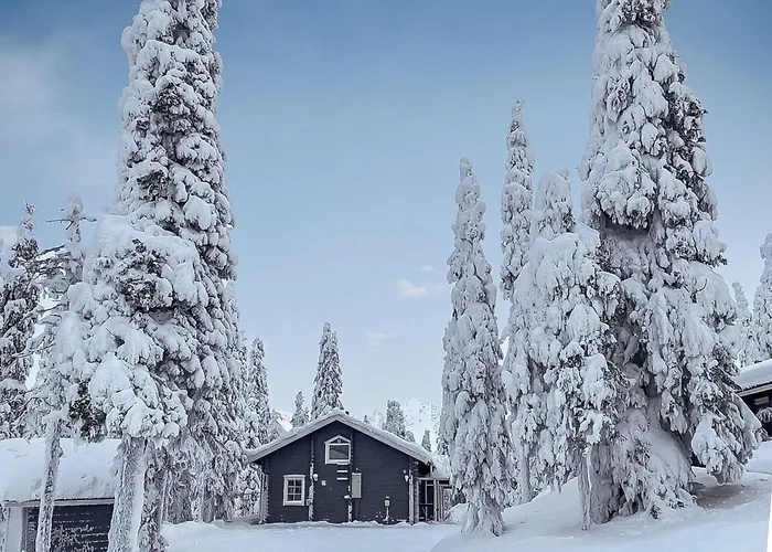 Lumi Casa By Interhome * Ruka